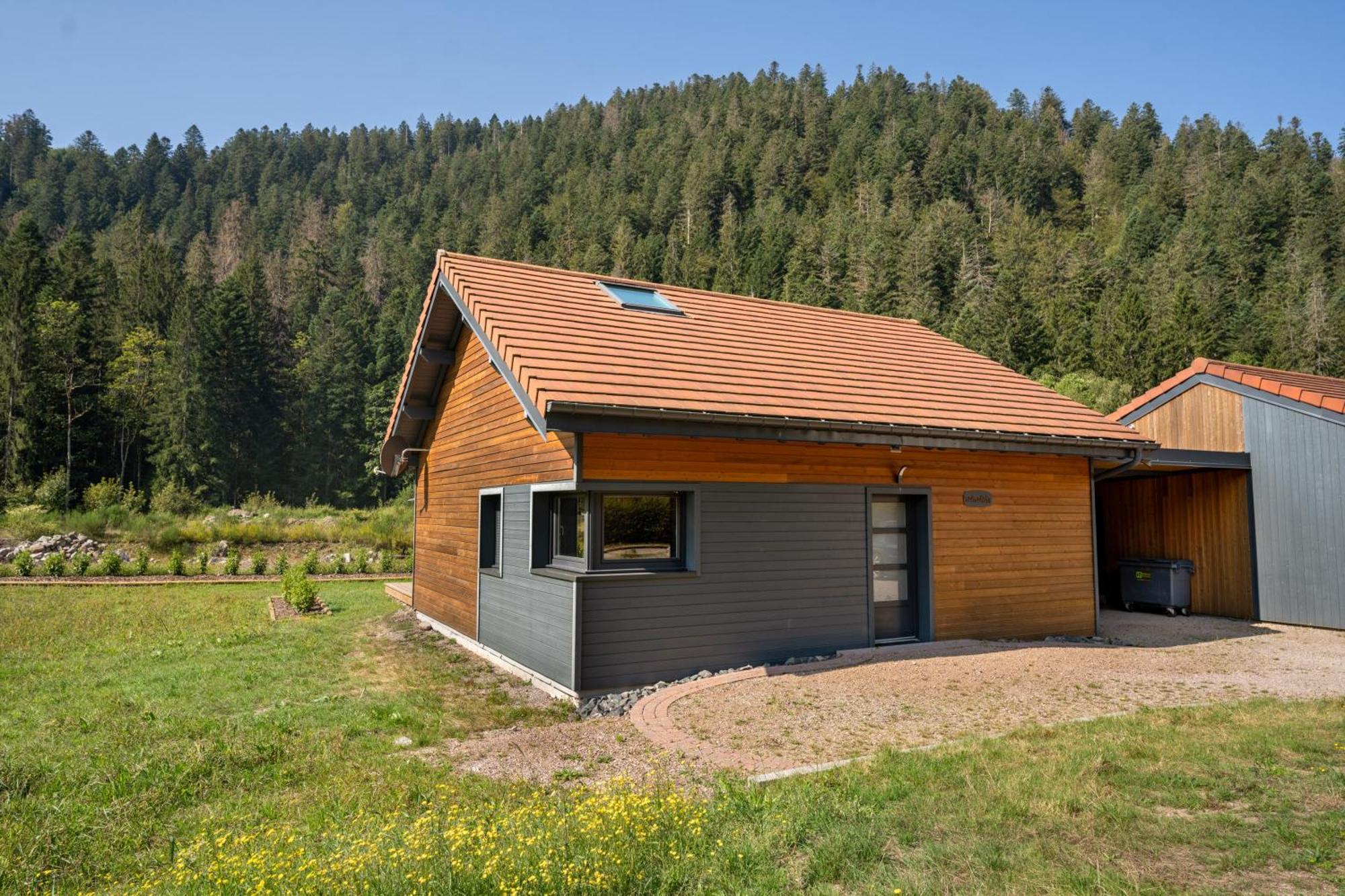 Chalet Nemesia Avec Spa A Gérardmer Exterior foto